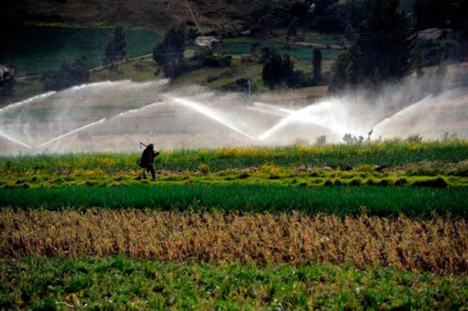 Agricultores mantienen confianza en resultados de proceso de paz