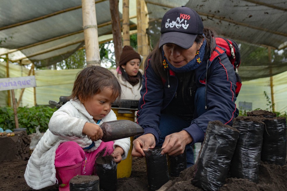 Una de las fases que ha desarrollado el programa es la de impulsar la labor de los viveristas comunitarios.