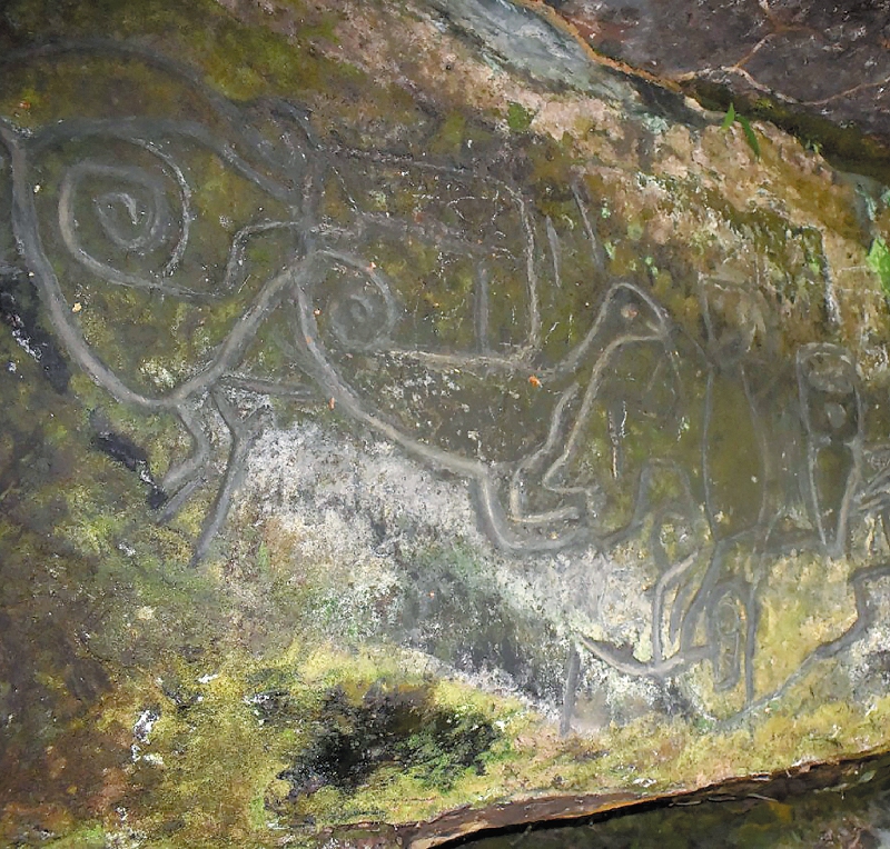 En El Encanto (Florencia) hay más de 40 figuras en 16 metros de longitud en una piedra. / William Saavedra