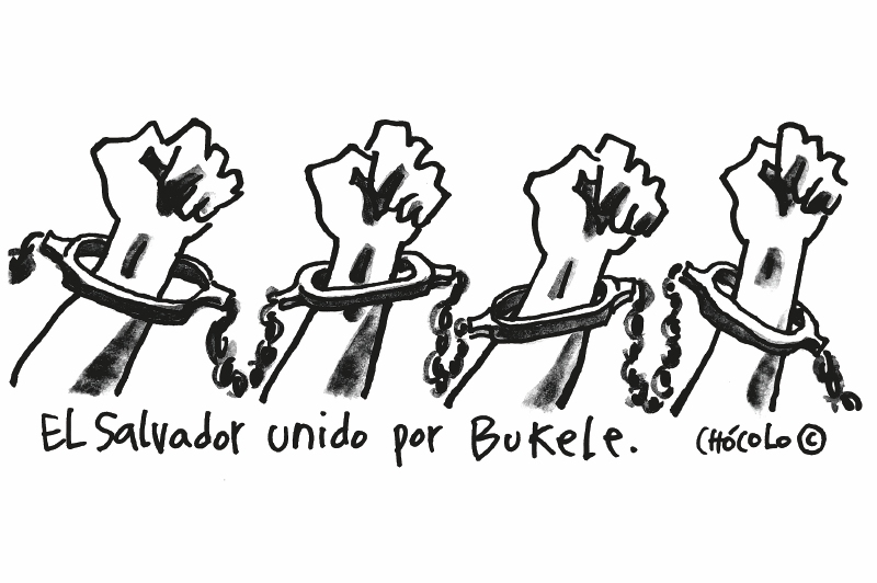 Chócolo