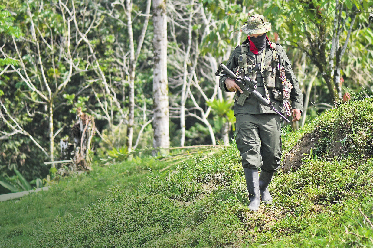 Eln cumplió el cese el fuego unilateral durante las elecciones a Congreso: Cerac