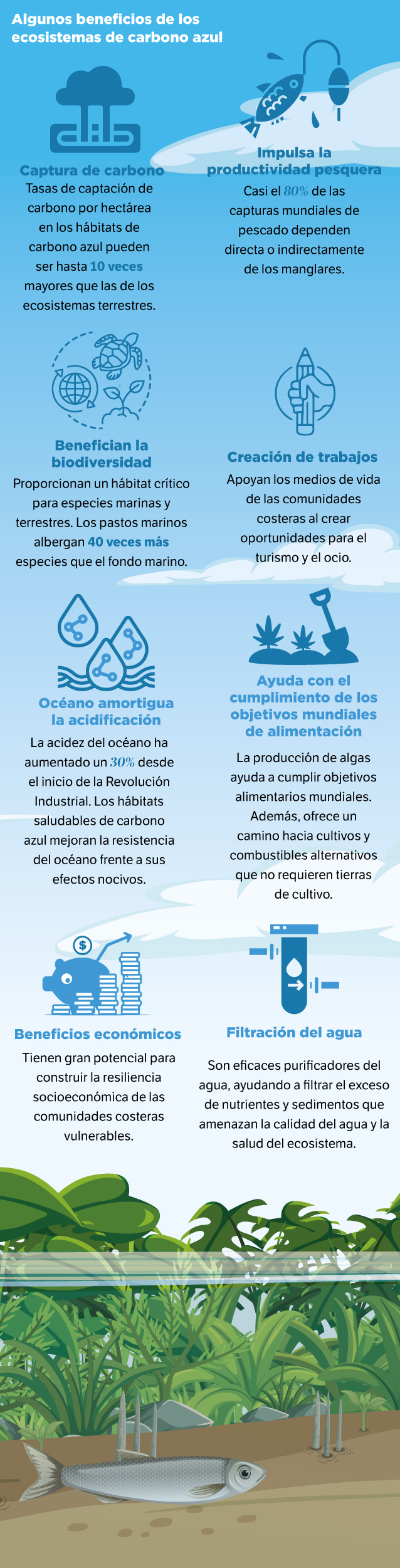 Algunos beneficios de los ecosistemas de carbono azul. / Ilustración de El Espectador con datos del reporte Blueprint for a Living Planet (2021), de WWF.