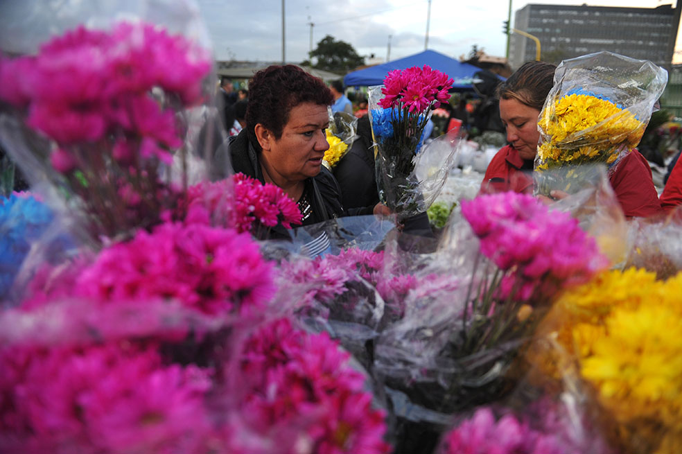 La cachetada de regalar una rosa hoy