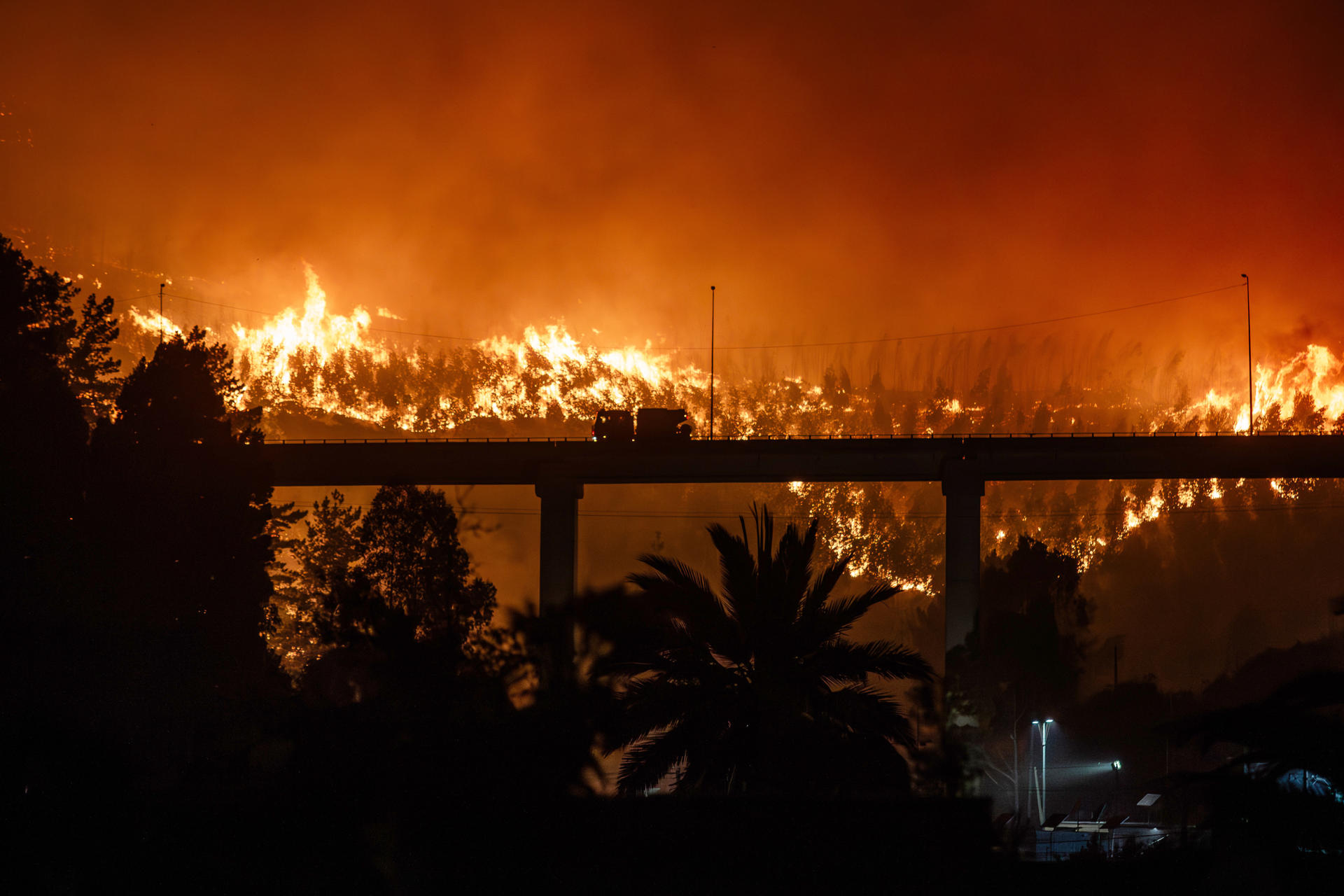 Incendios sin control en Chile: hay al menos 18 muertos y 50.000 evacuados