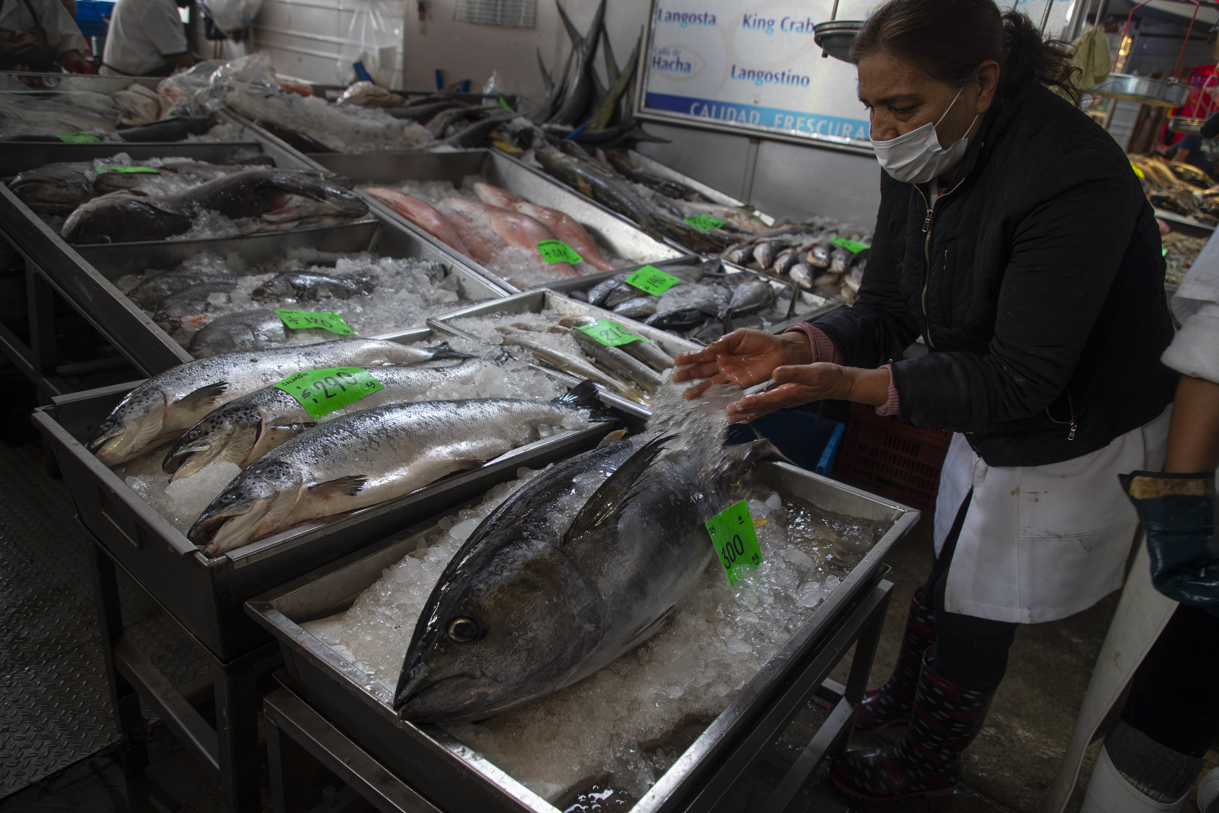 Semana Santa: estas son las recomendaciones para comprar pescado en los comercios