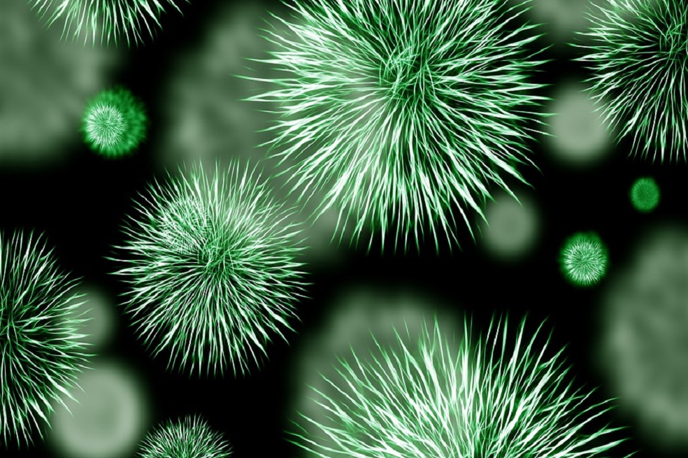 La base de datos global de microbios que fue posible gracias a un “crowdsourcing” científico