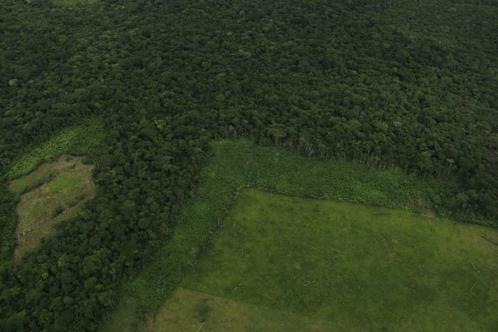Cerca al Parque Nacional Natural Serranía de Chiribiquete también se visualizan importantes parches de deforestación para siembra de coca.
