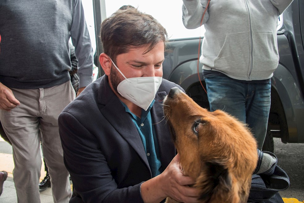 Diplomacia canina: los perros de Boric, Biden y Fernández dominan las redes