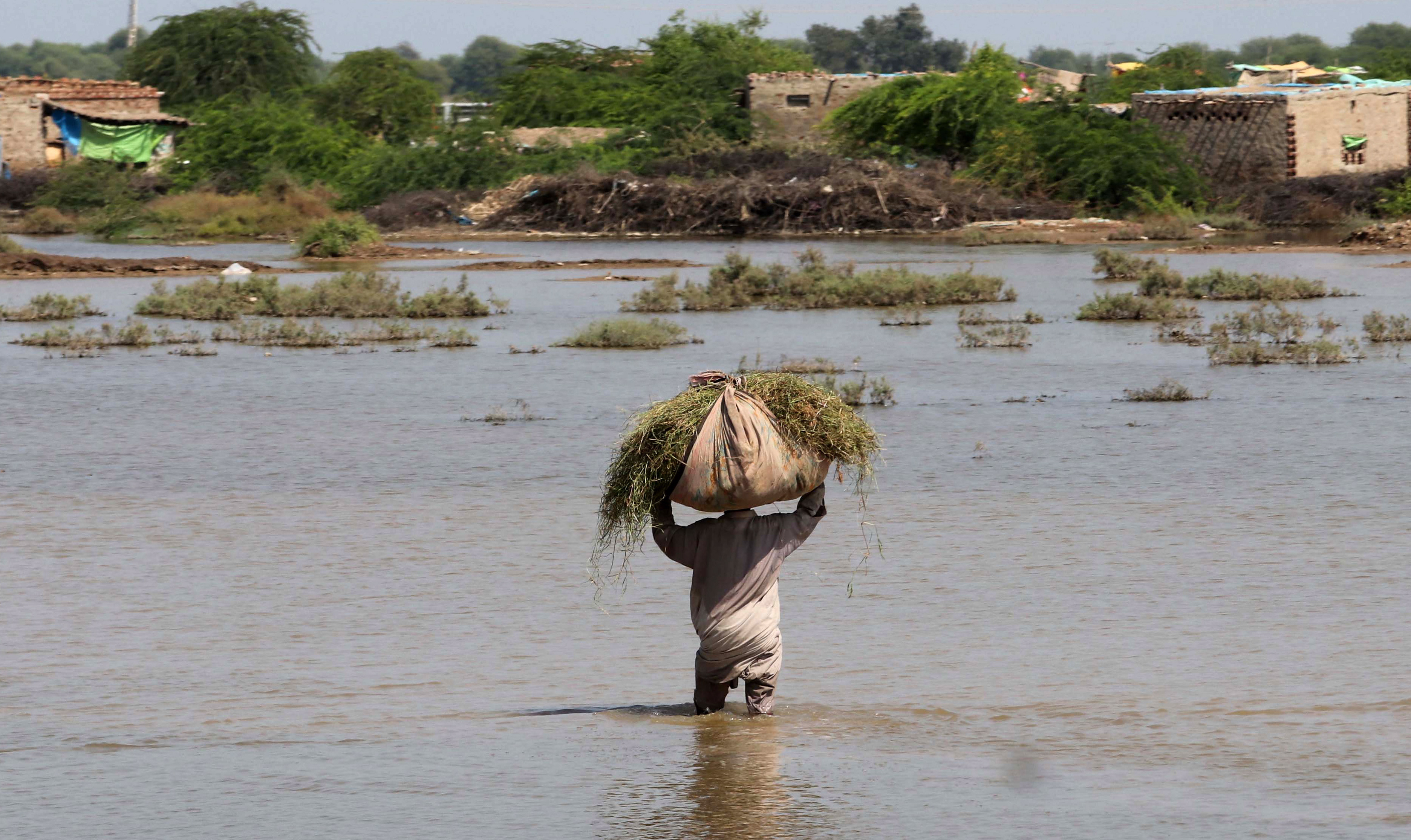 Inundaciones en Pakistán agudizan problemas estructurales de alimentación