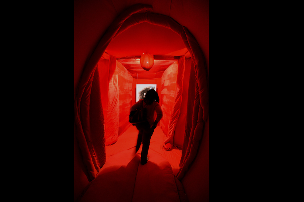 ‘Giant Walk-In Vagina’, una curiosa exposición de arte