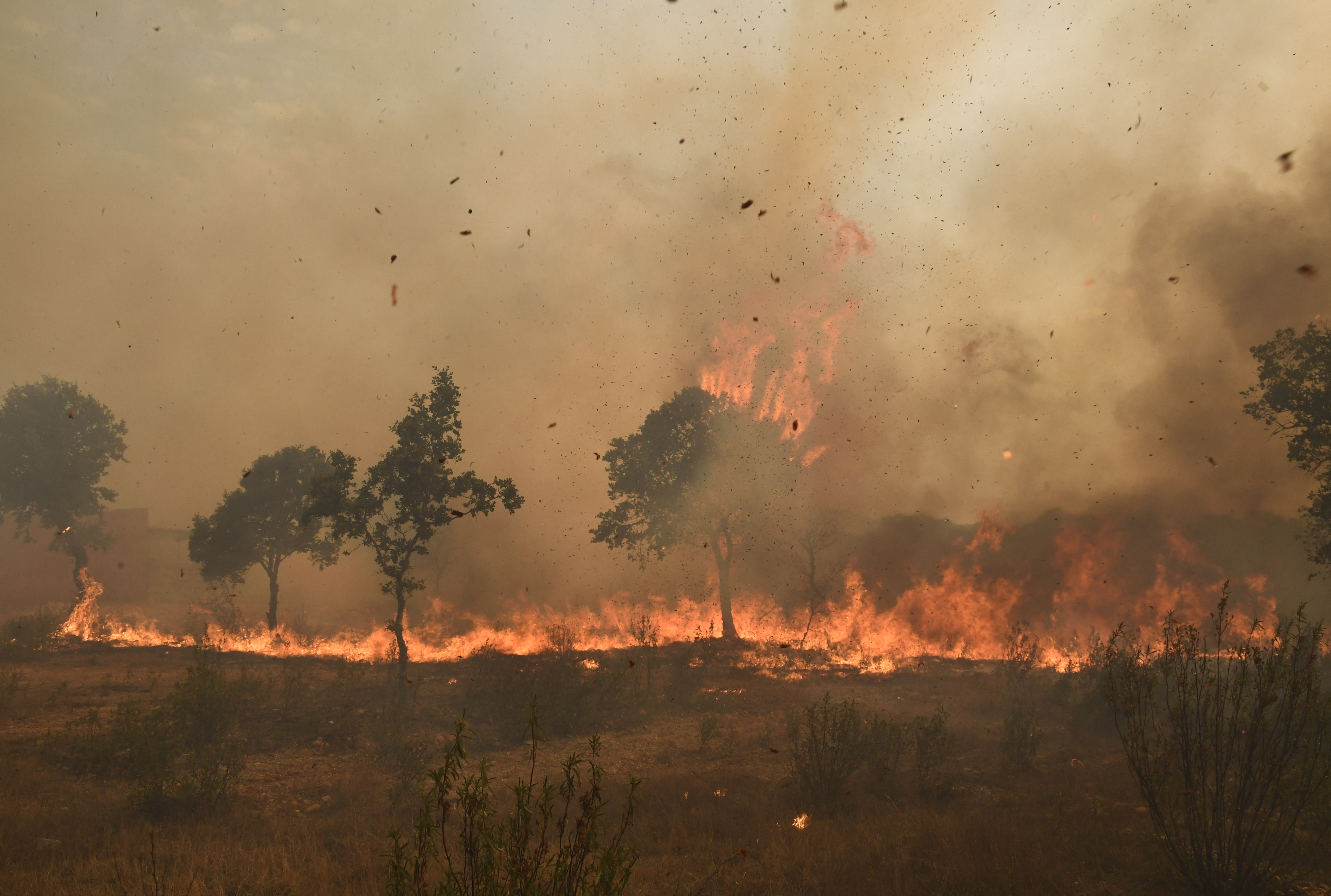 Ola de calor en Europa: un tren queda rodeado por incendios en España