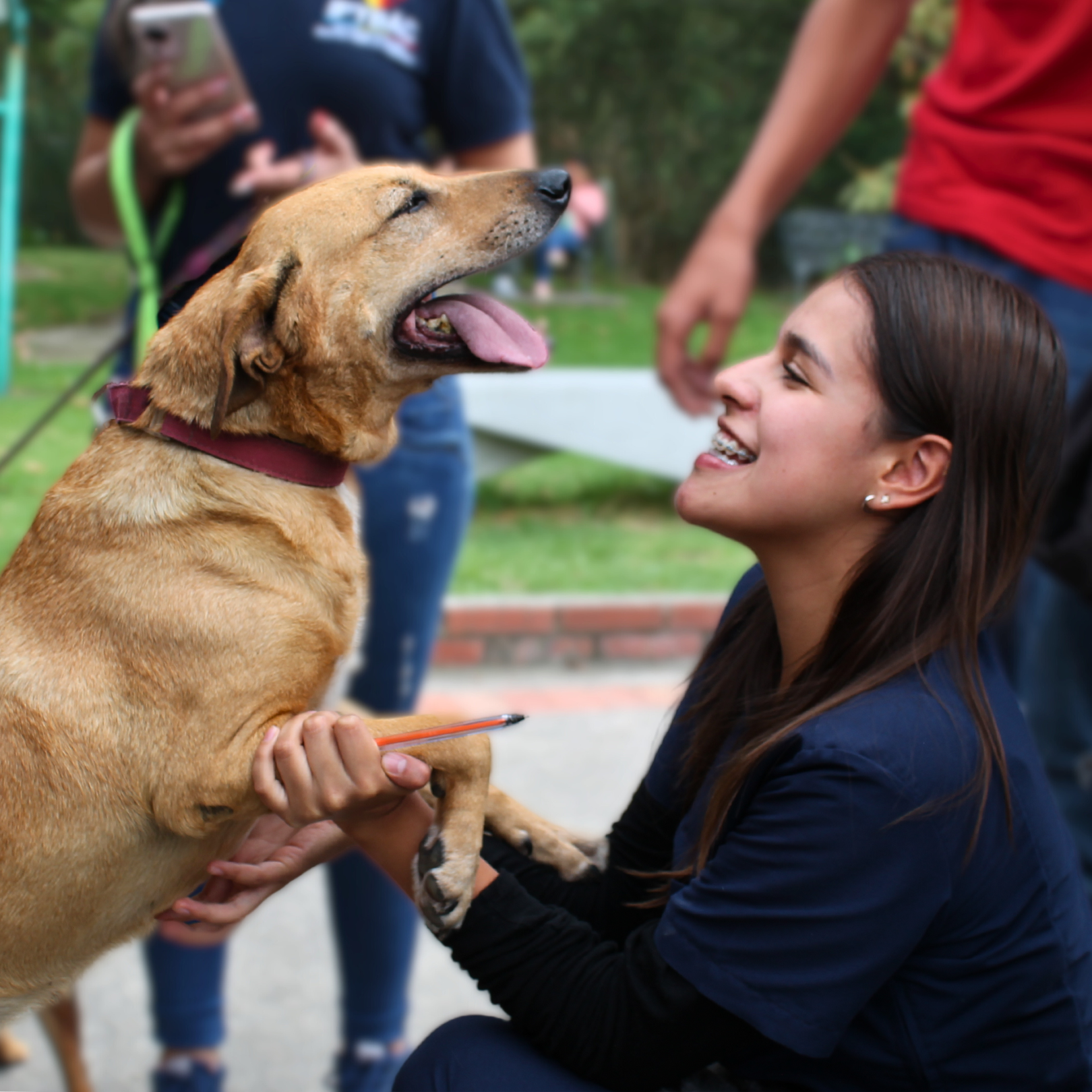 Tenencia responsable de mascotas