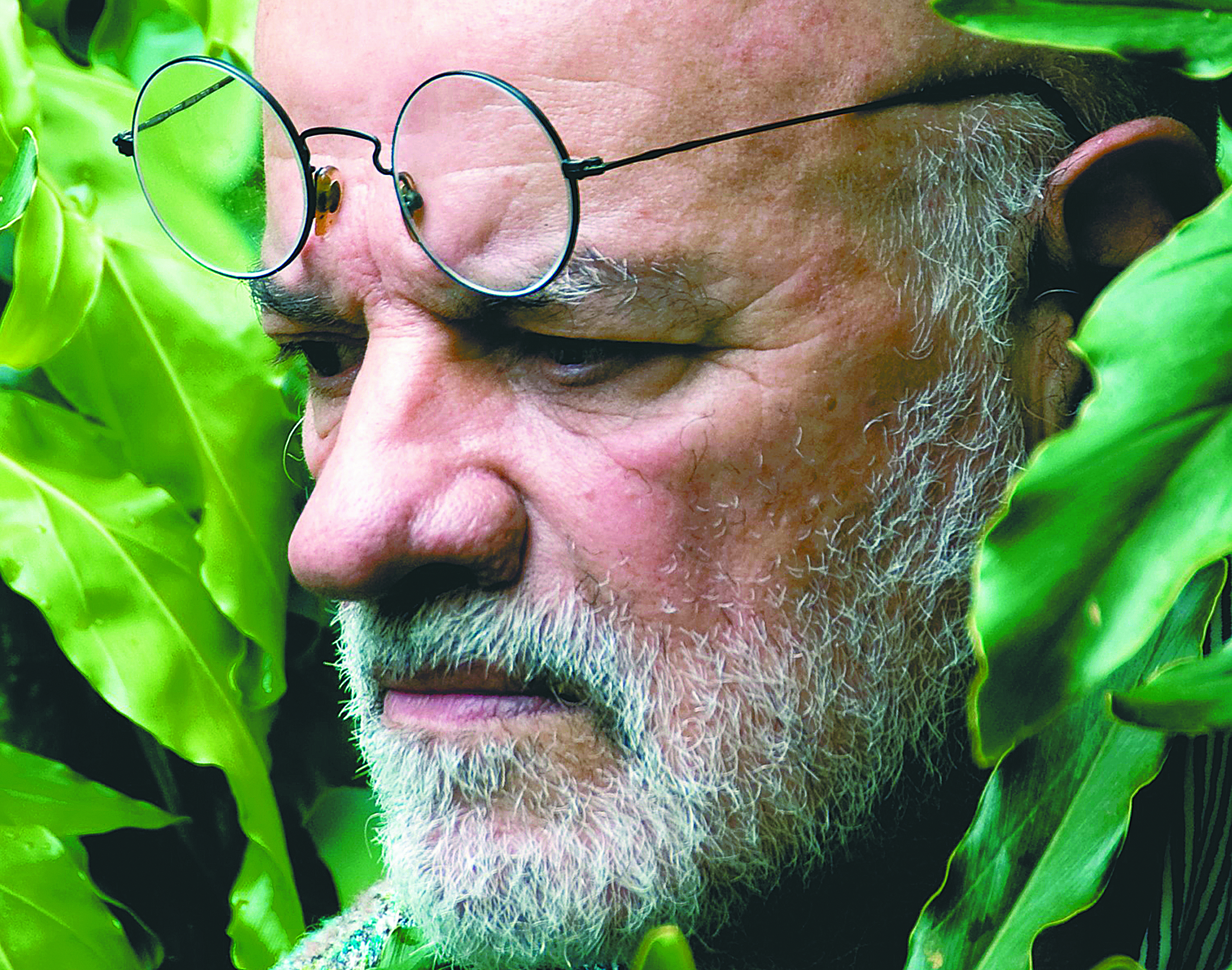 Guillermo Angulo y las orquídeas