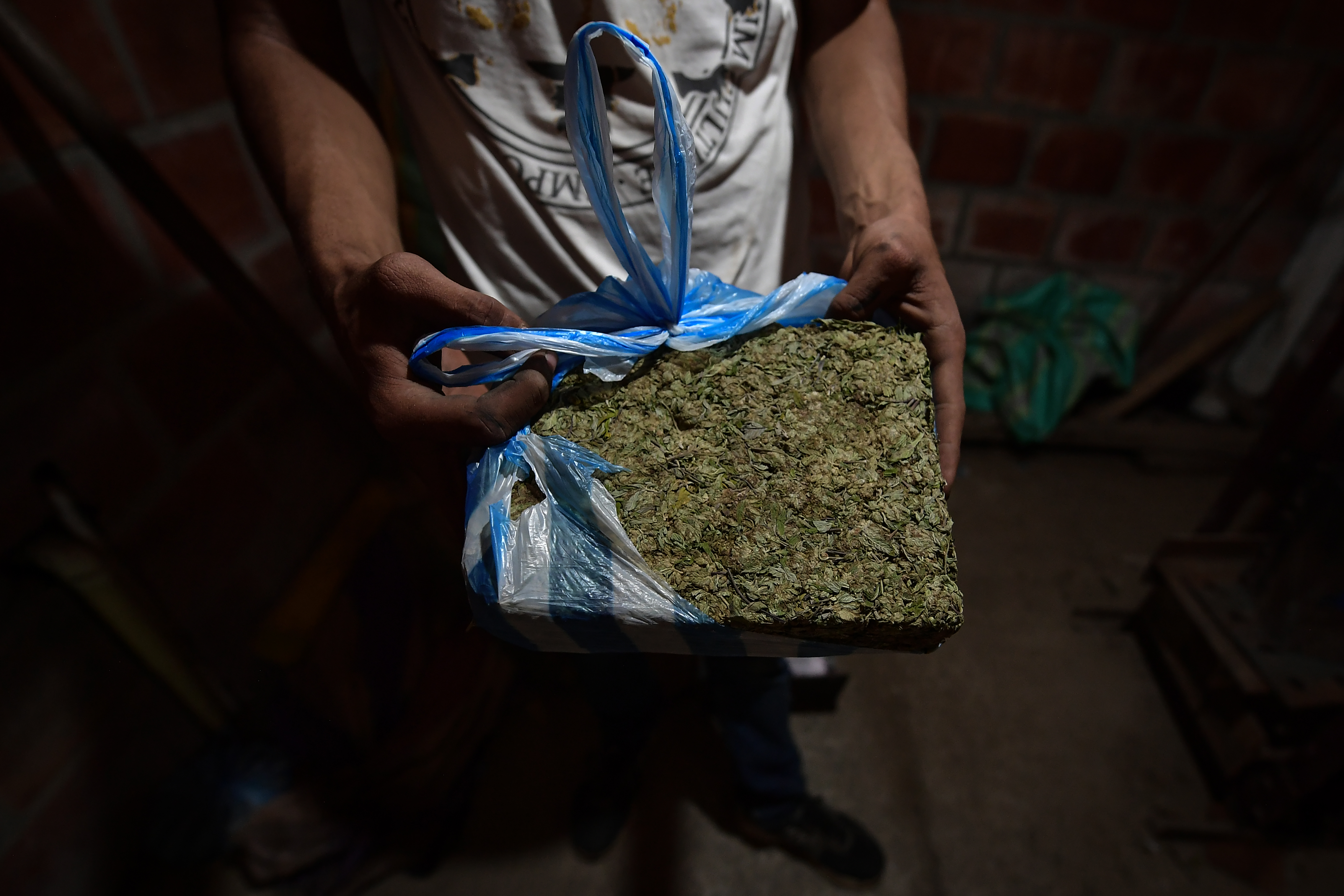 Cannabis de uso adulto: continúa la historia de prohibición en Colombia