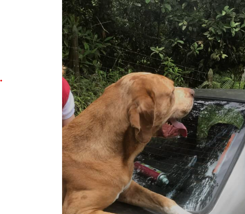 Mael se perdió en la vía que conecta a Cali con Buenaventura.