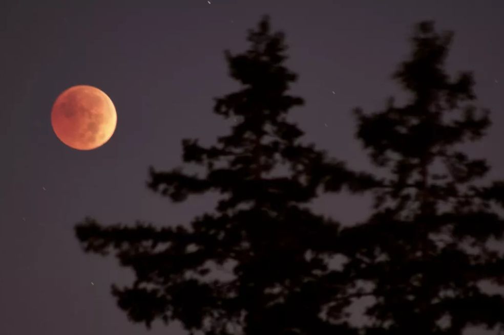Eclipse lunar de marzo: Aries, Tauro y Géminis tendrán cambios que marcarán