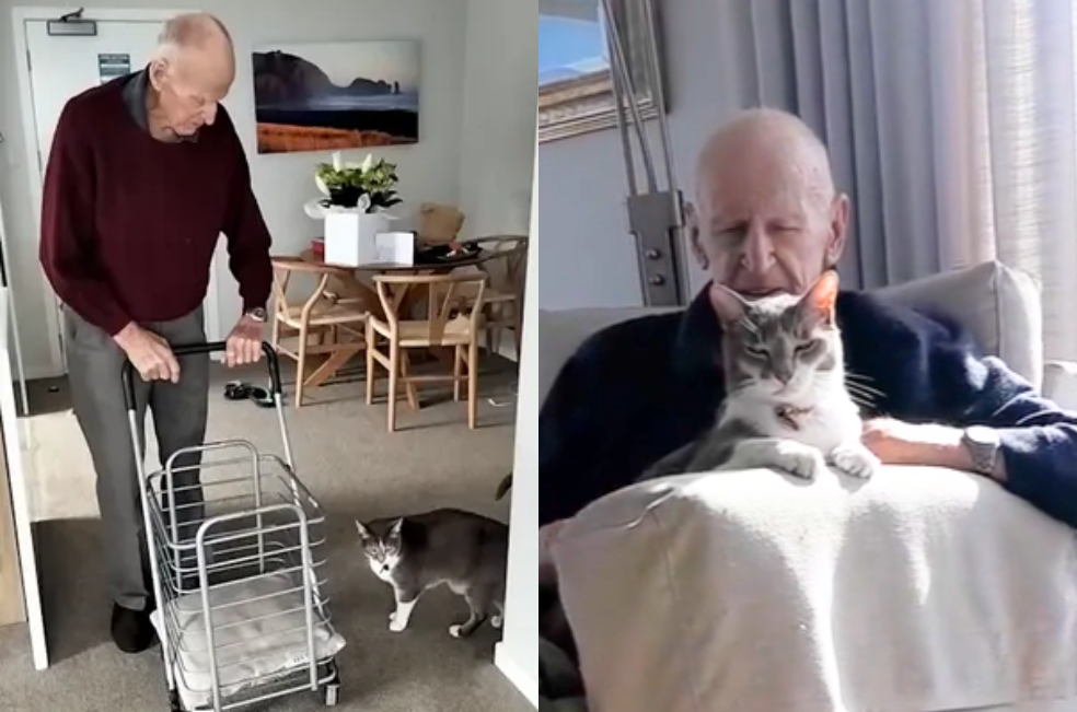 A sus 93 años, este abuelo y su gato conquistan internet con sus paseos diarios