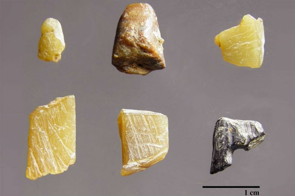La cooperación salvó al Homo Sapiens hace 40.000 años