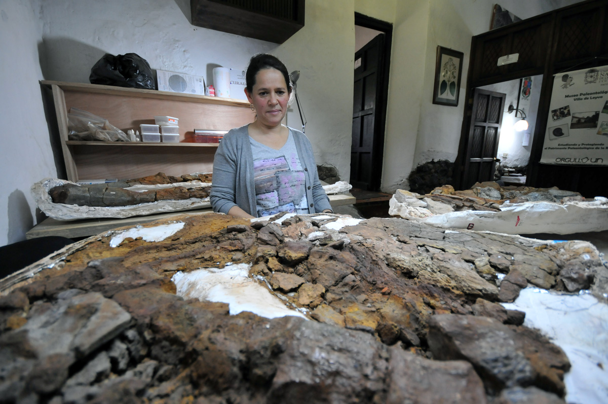 Falleció María Páramo, paleontóloga y exdirectora del Museo Geológico Nacional