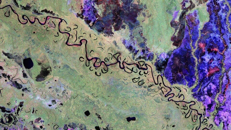 Este es el primer mapa satelital que ve dentro de los bosques del mundo