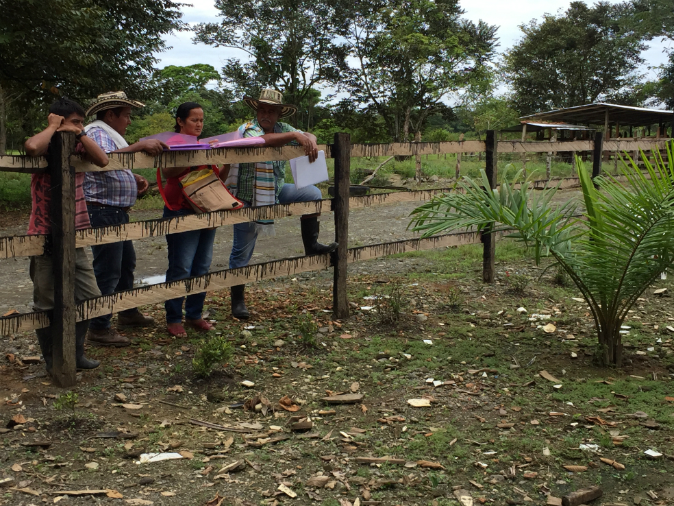 Una lideresa que lucha por la tierra y la vida en Urabá