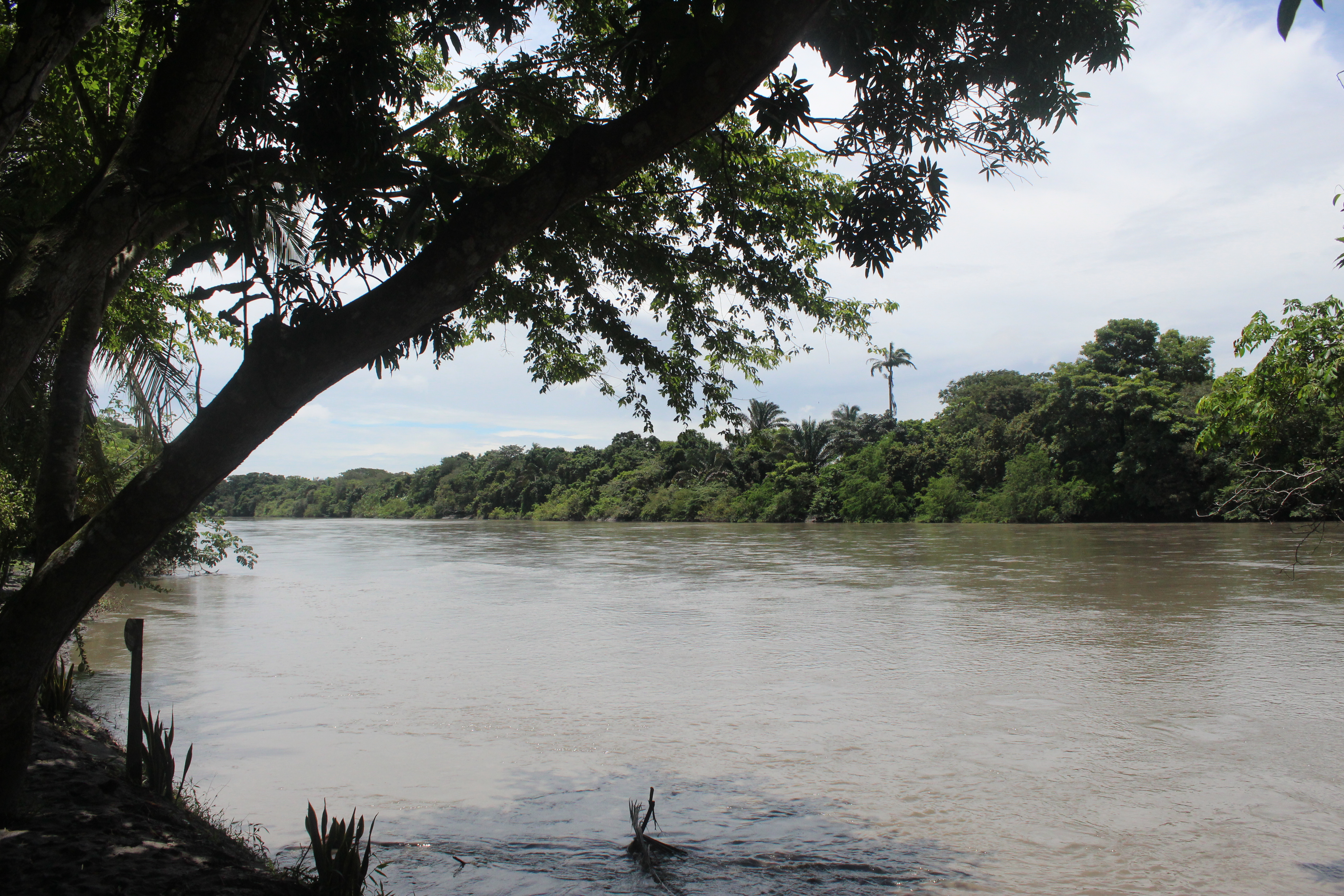 En fotos: San Luis de Palenque, Casanare: turismo y arraigo llanero a lomo de caballo