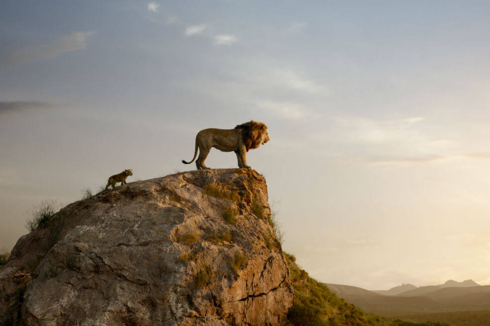 «El Rey León»: imágenes de la versión 2019