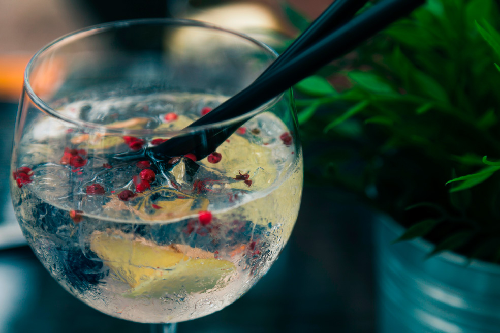 Cómo hacer un delicioso Gin Tonic de frutos rojos en casa