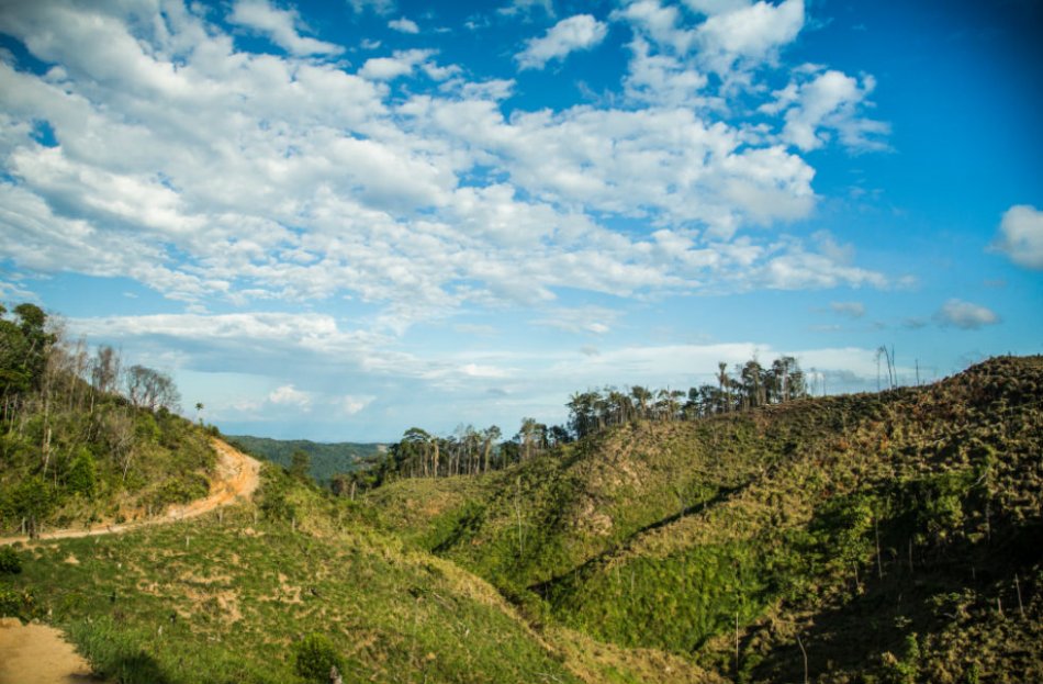 Municipios de Cundinamarca reducen huella de carbono en sus territorios