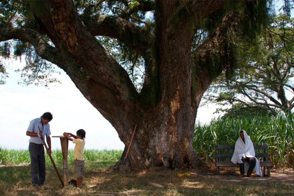 «La tierra y la sombra», la mejor película colombiana del año
