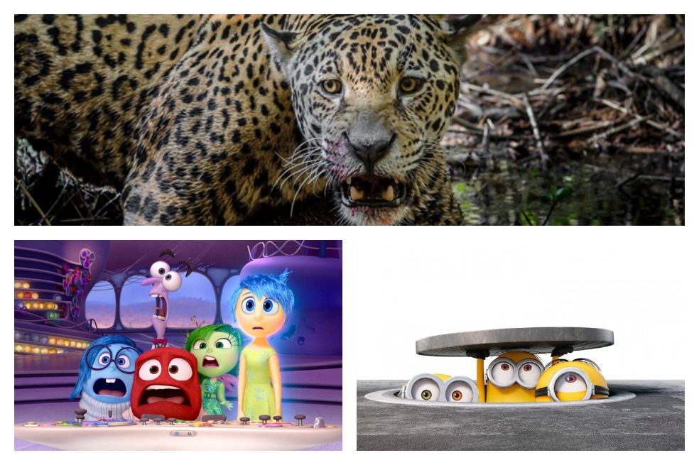 Colombia Magia Salvaje entra al Top 5 de mejores estrenos en el país