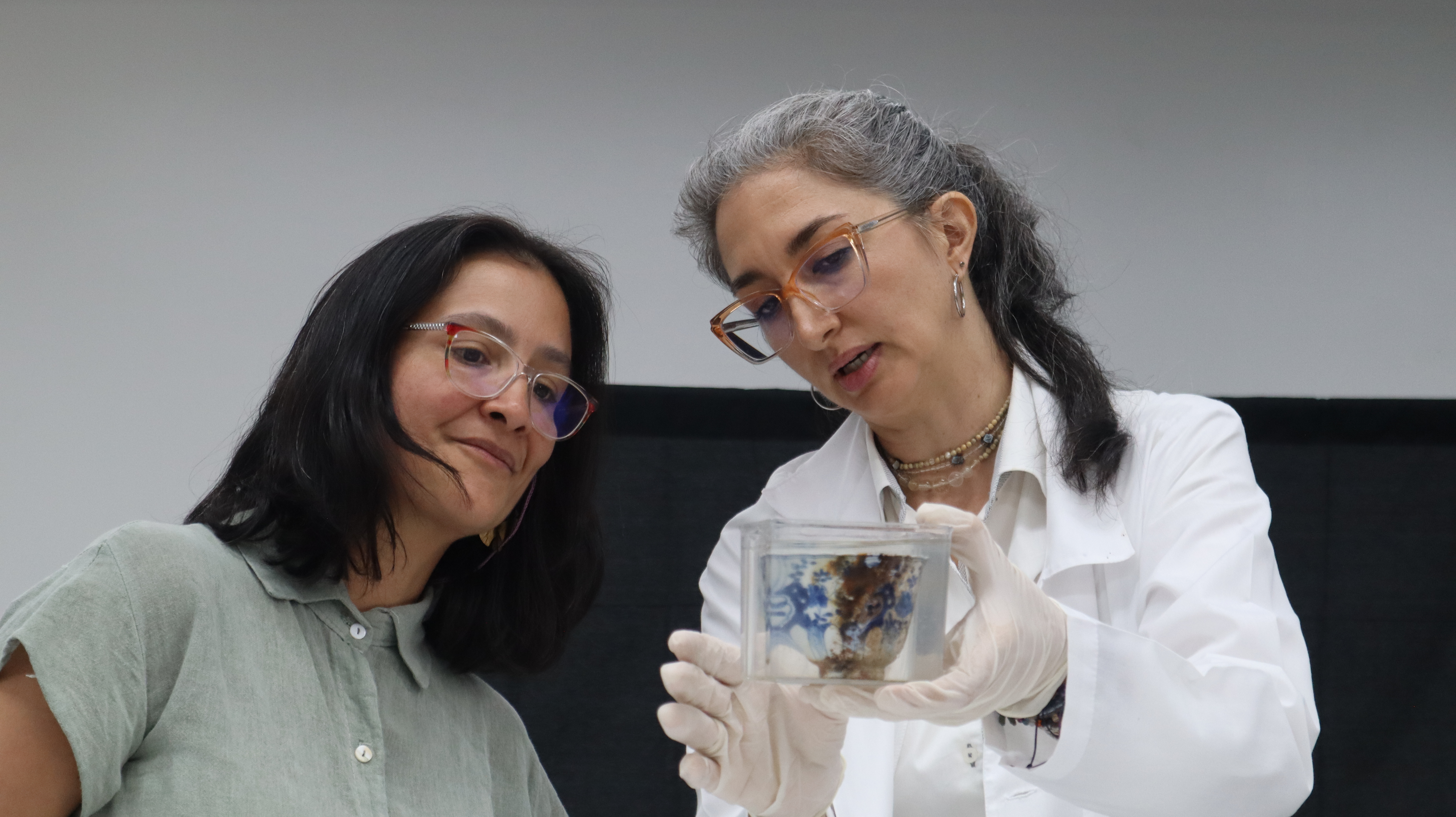 ELESPECTADOR/ En Cartagena, Colombia. Noviembre 22/2025 En el  Laboratorio de Patrimonio Cultural Sumergido del Centro de Investigaciones Oceanográficas e Hidrográficas del Caribe se encuentran los objetos arqueológicos del naufragio del galeón San José, recolectados hace dos  días por el Estado colombiano, para su conservación y estudio científico.  Allí se encuentra un cañón de bronce en  inmersión en una piscina, manteniendo condiciones análogas a las del entorno marino para asegurar su estabilidad inicial. Adicionalmente, el ICANH informó que en este mismo sitio  se conservan y estudian dos tazas de porcelana.
Las tres macuquinas, monedas,  que salieron del mar,  fueron llevadas al Museo Nacional de Colombia, donde permanecen en condiciones medioambientales adecuadas. ( Photo Pedro Mendoza)