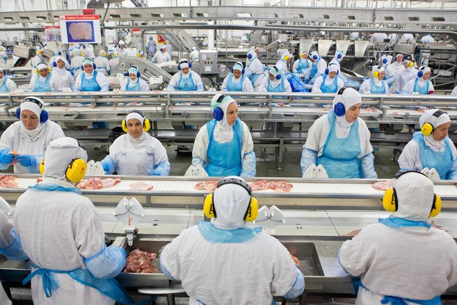 Empresa de carnes asociada a deforestación en la Amazonia en la mira internacional