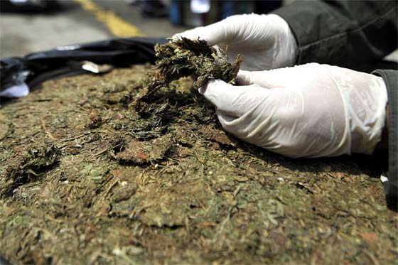 Cae cargamento de una tonelada de marihuana de las Farc