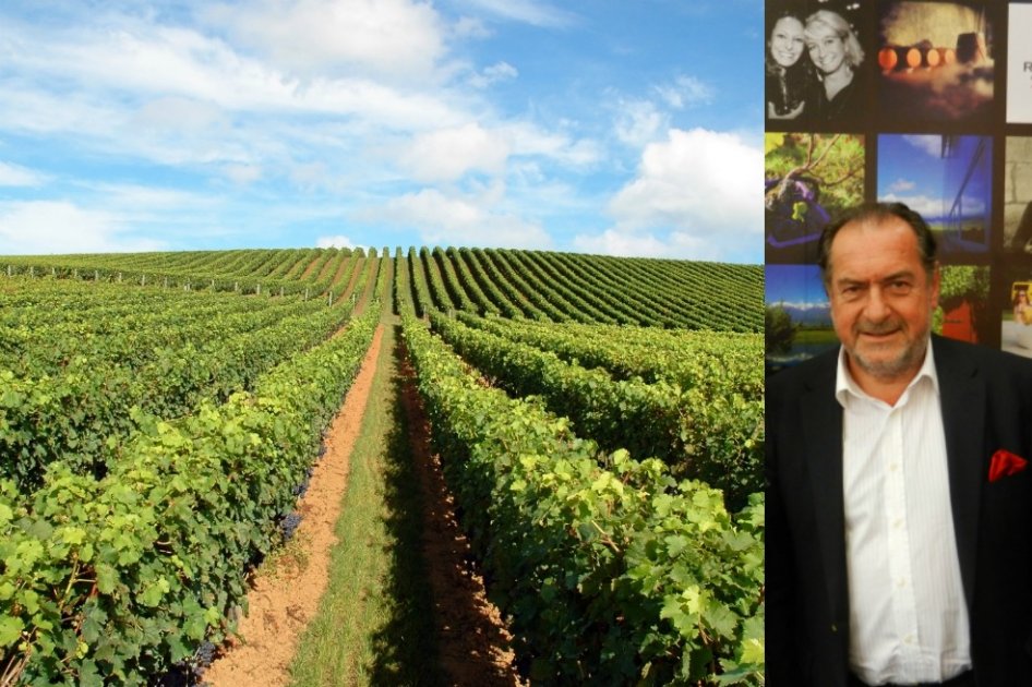 “China va a producir mucho vino, pero no va a inundar el mercado mundial”