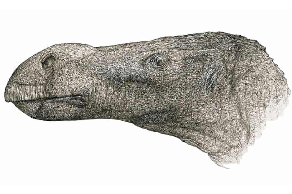Encuentran una nueva especie de dinosaurio con una nariz extremadamente grande