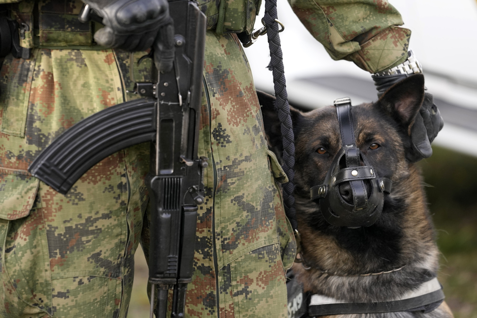 “Usar a los animales en las guerras es una forma de victimización”: Juan Camilo Rúa