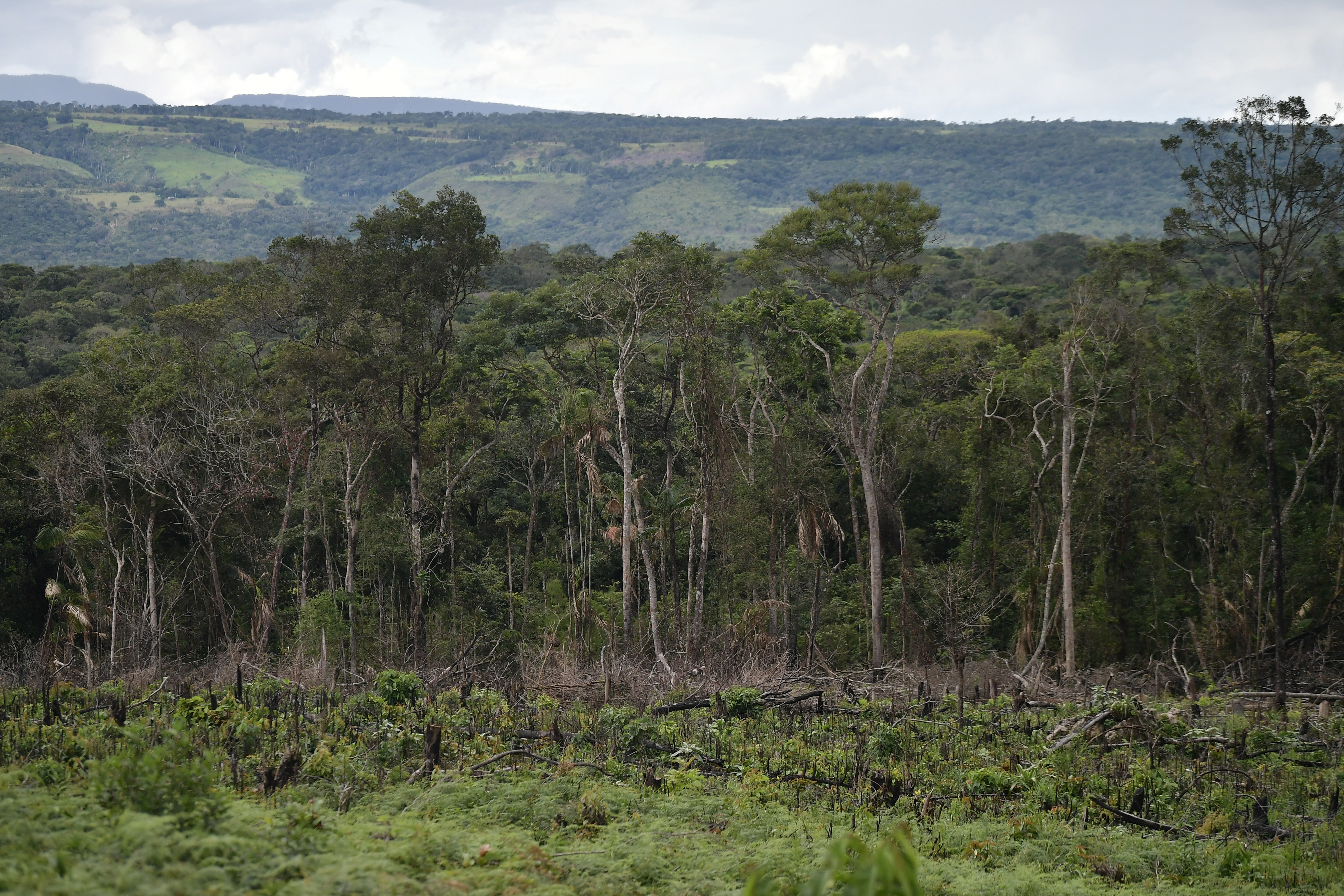 En Colombia, emisiones asociadas a cambio climático crecieron 17% entre 2014 y 2018