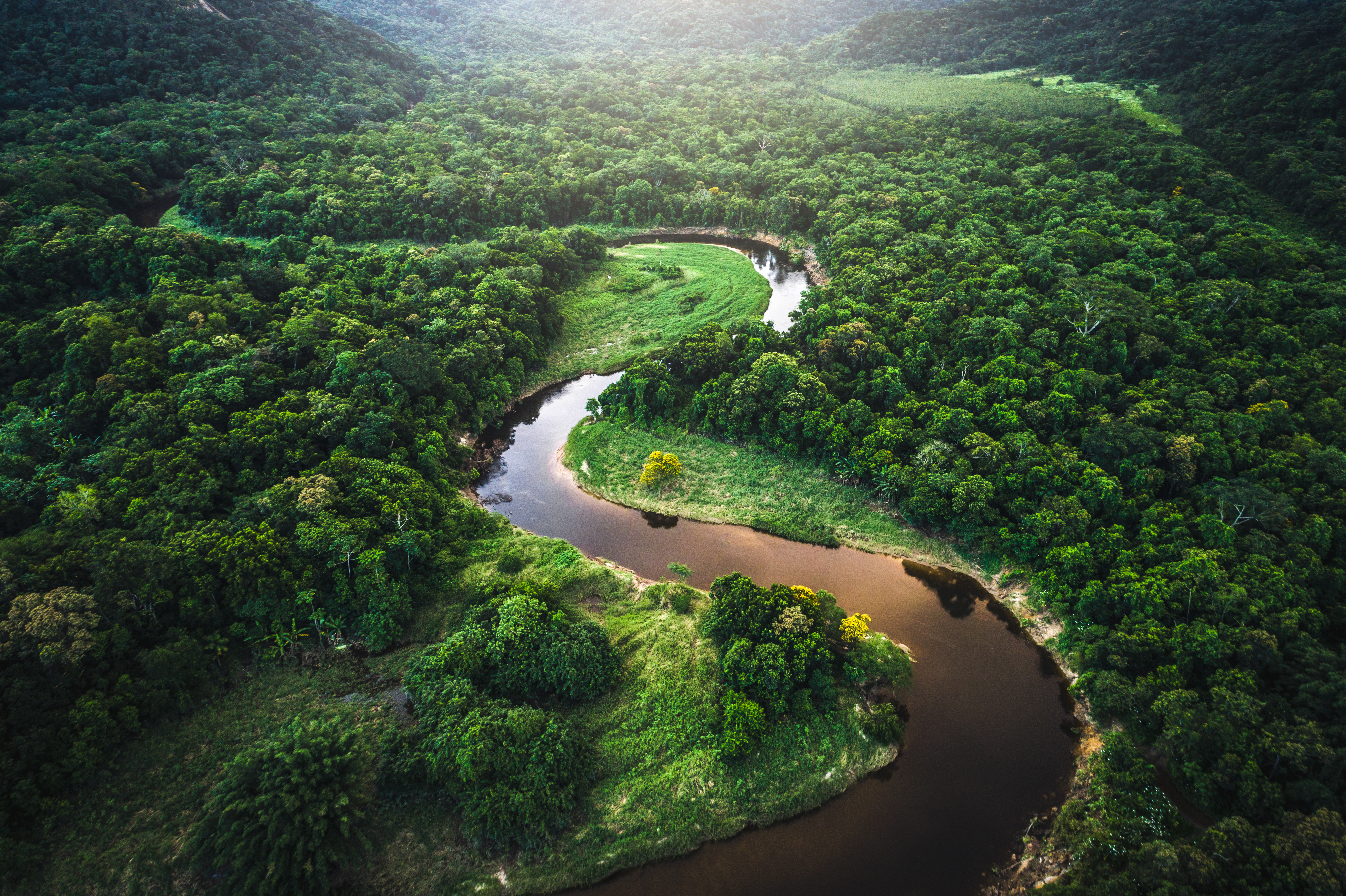 El 74% de la Amazonía colombiana está bajo protección.