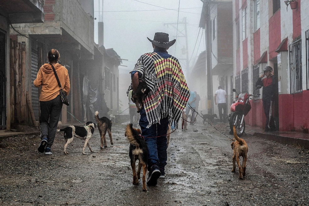 Desplazados se triplicaron respecto al 2020: ahora son 57.166