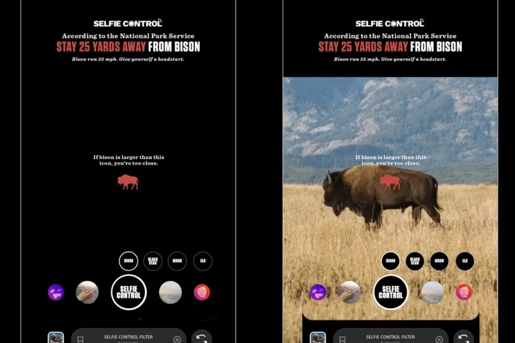 El filtro de Instagram que le avisa cuando está cerca de animales salvajes