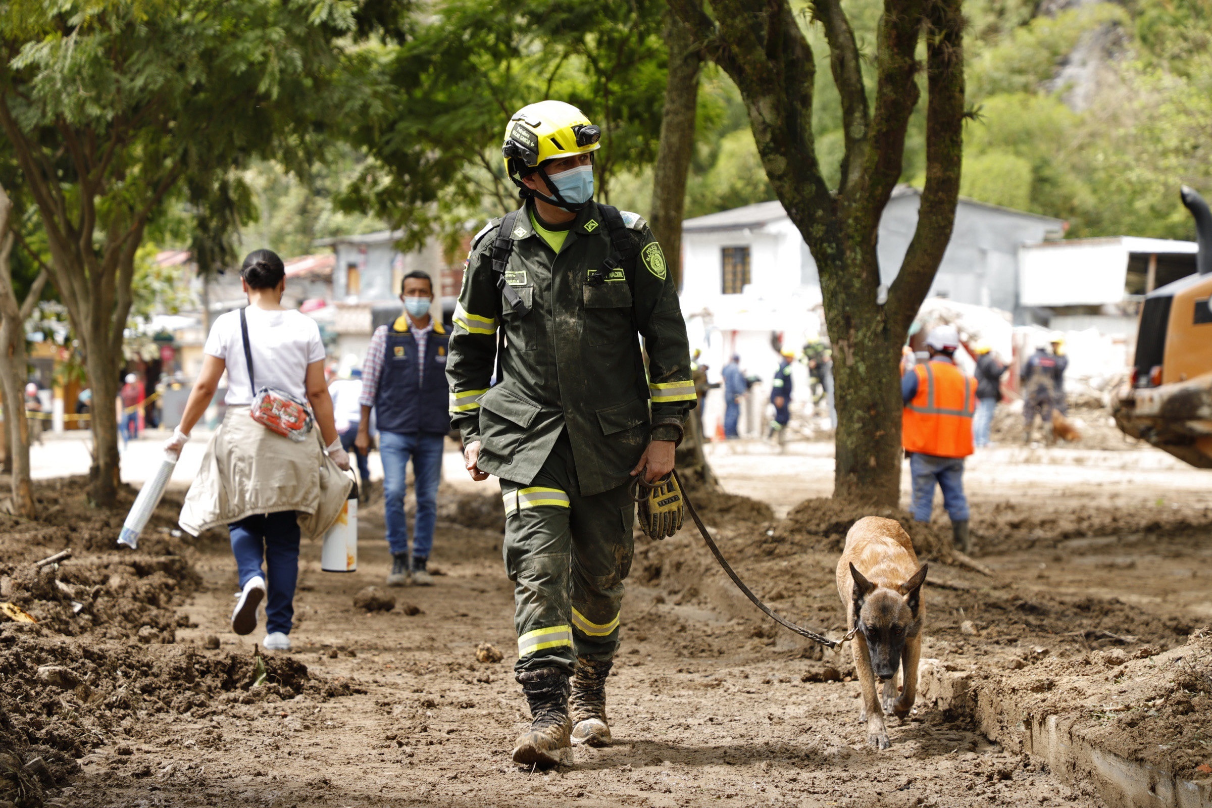 Las acciones para atender a los animales afectados por el derrumbe en Pereira