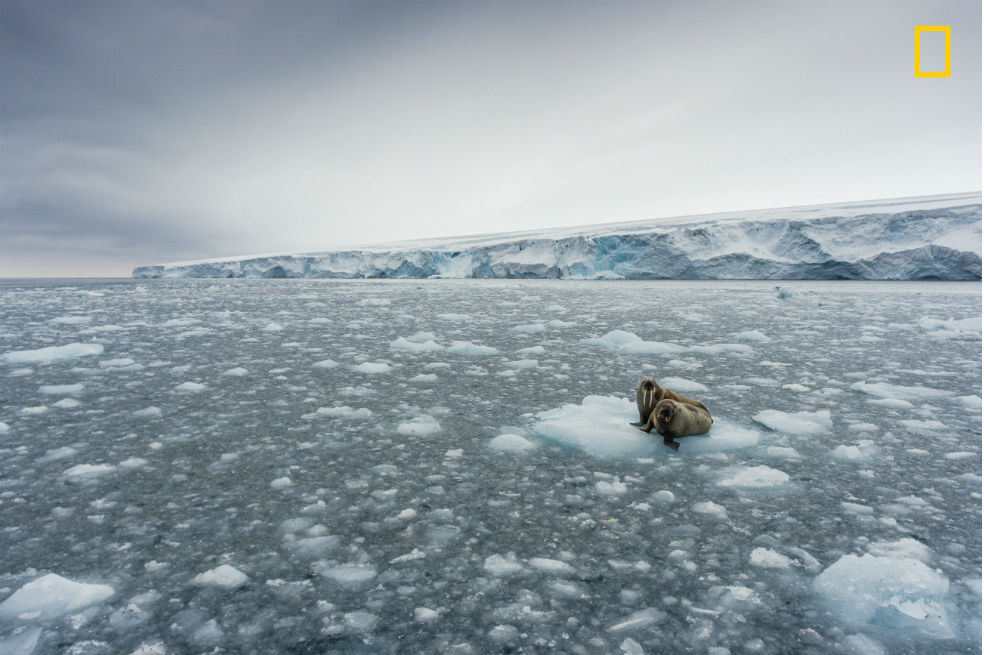 Las mejores imágenes del Concurso de Fotografía Anual de National Geographic