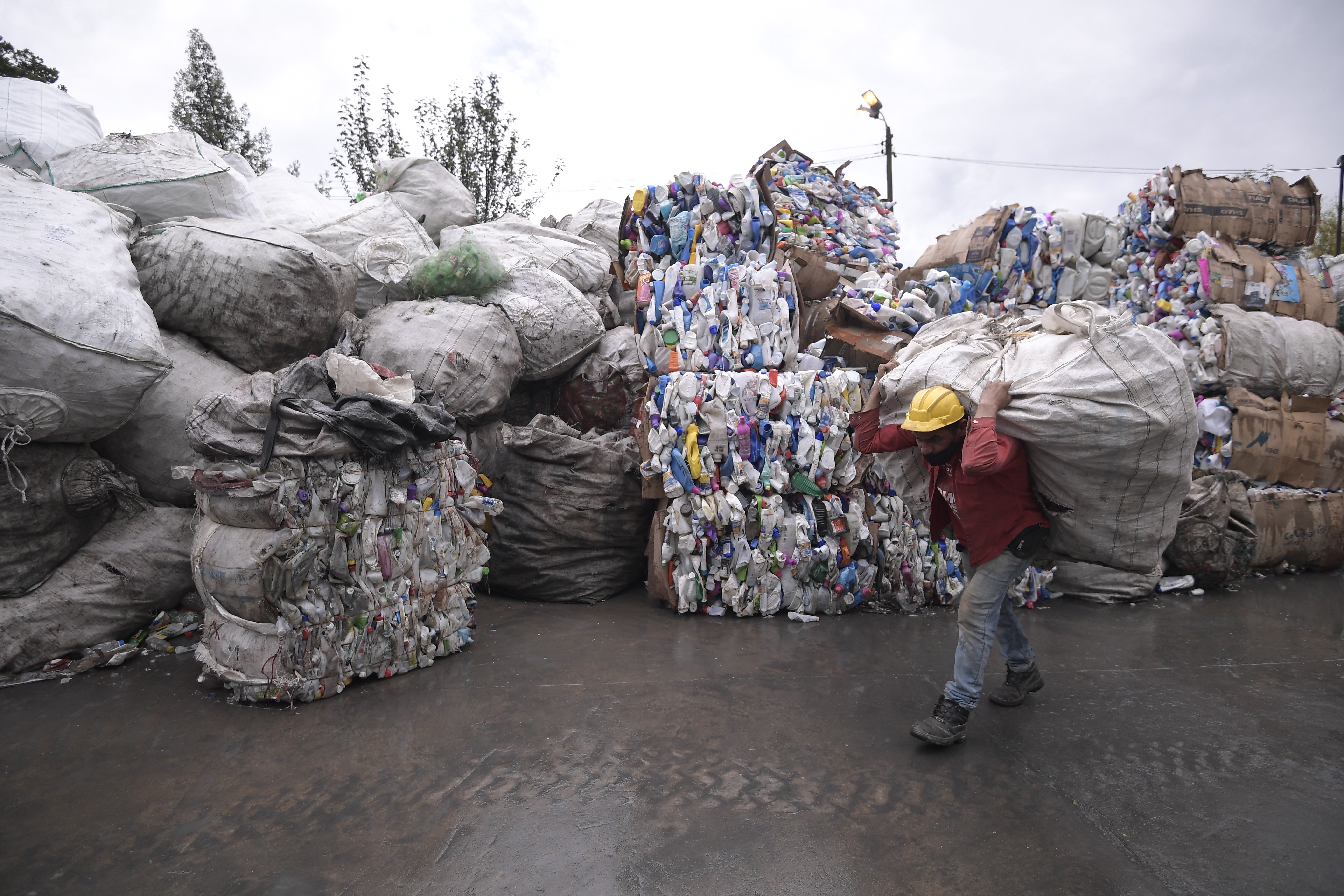 Gracias al trabajo de 2000 familias de recicladores y 160 hombres y mujeres que transforman plástico PET en empaques para alimentos, dos empresas bogotanas buscan aportar a la sostenibilidad del país.