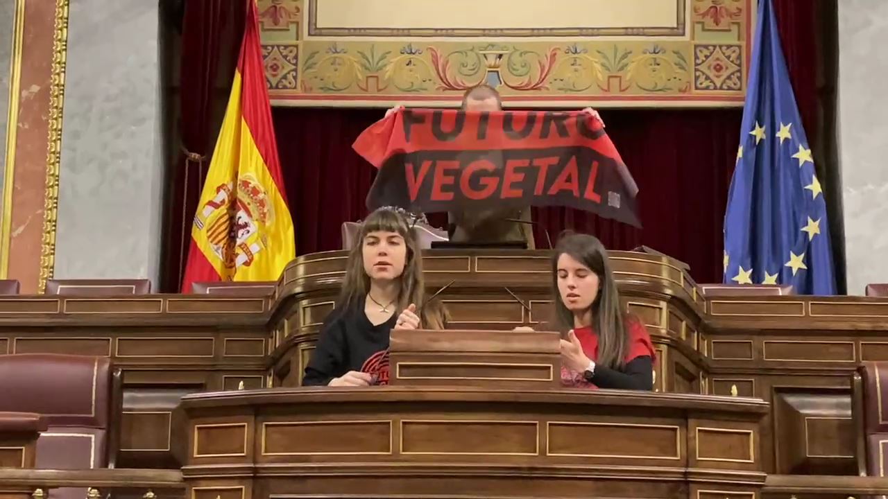 Video: activistas climáticos pegaron sus manos a micrófonos del Congreso español