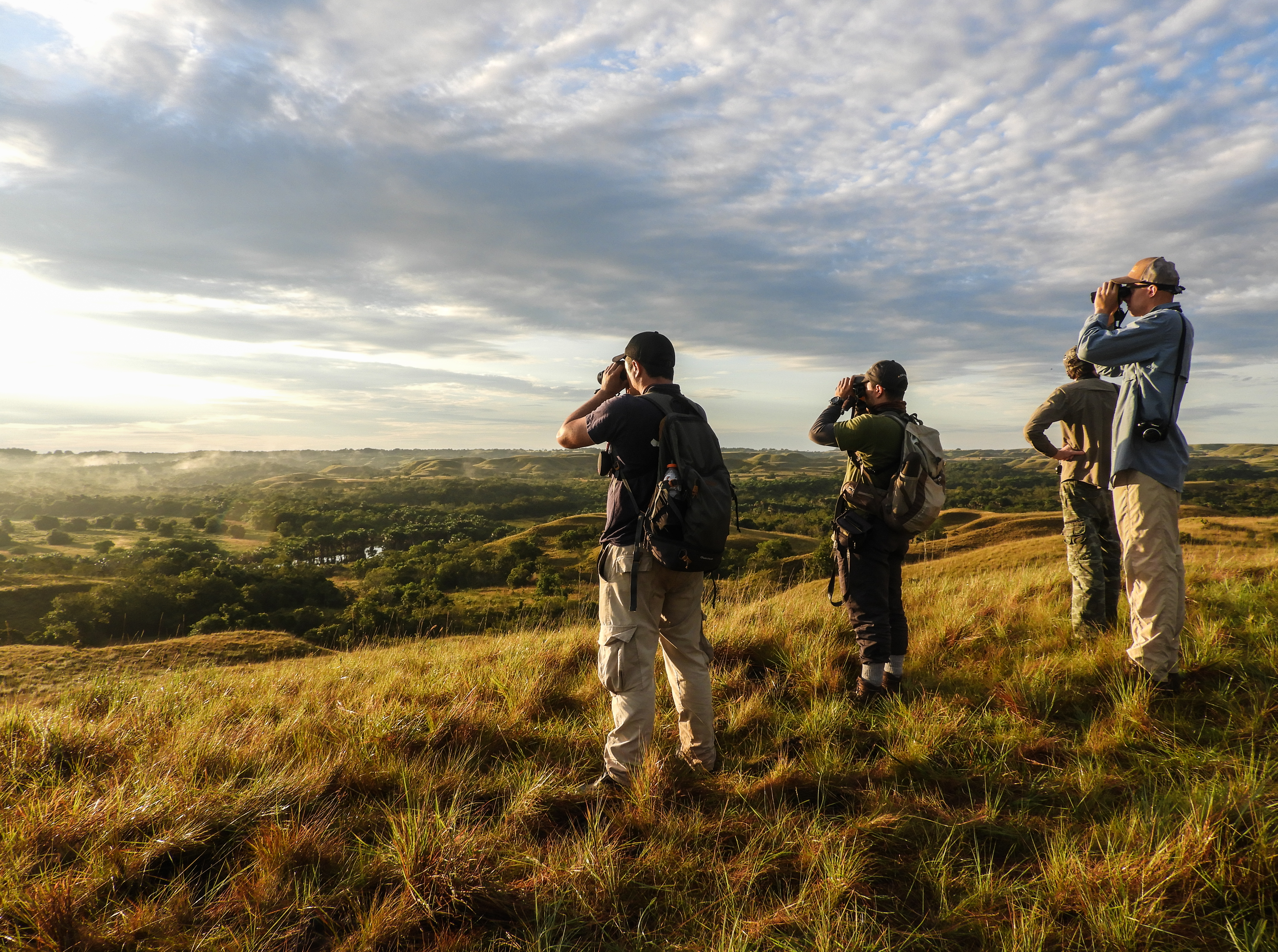 Colombia se consolida como destino líder para el avistamiento de aves en el mundo