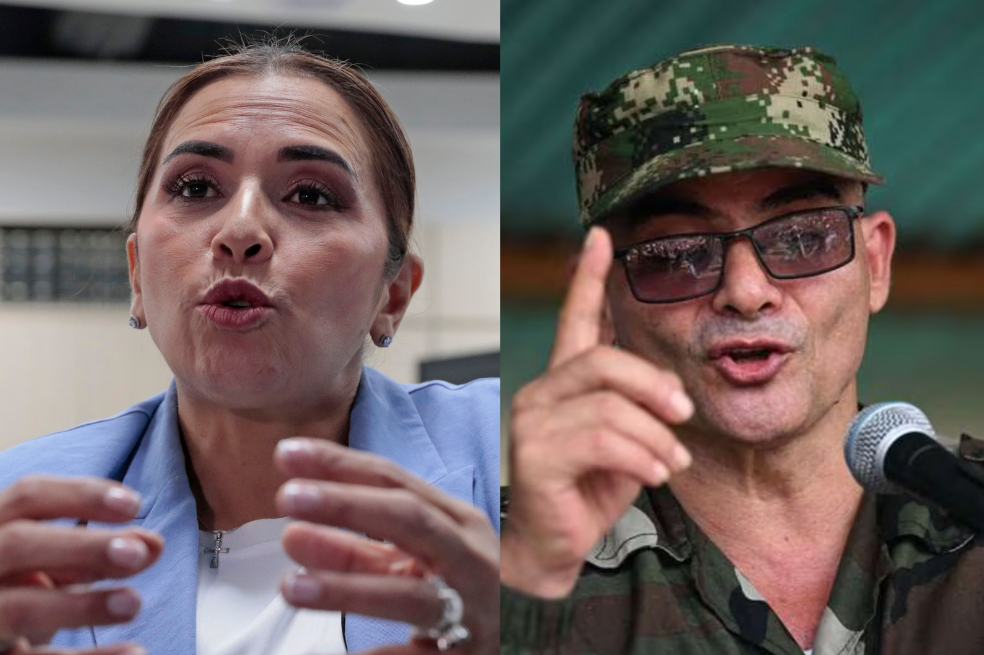 “Ese peligroso delincuente”: gobernadora del Meta pide a la CIDH indagar a Mordisco
