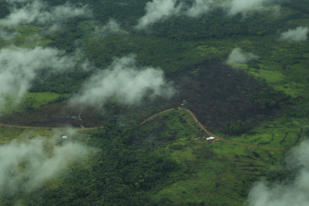 Guaviare, Meta y Caquetá son los departamentos del Arco Amazónico en los que se presentaron hasta 2022 las mayores cifras de quema de bosques, especialmente para la siembra de cultivos de uso ilícito.