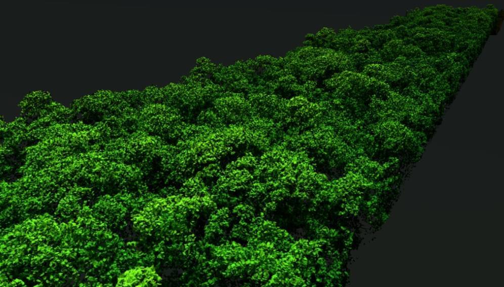 Así están mapeando el carbono disponible en la Amazonia