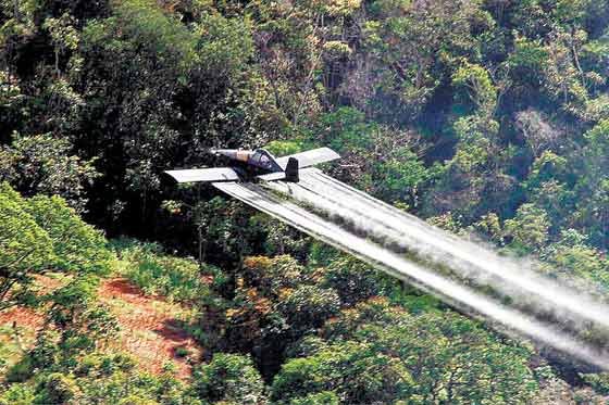 ¿Por qué no se legalizan las drogas?